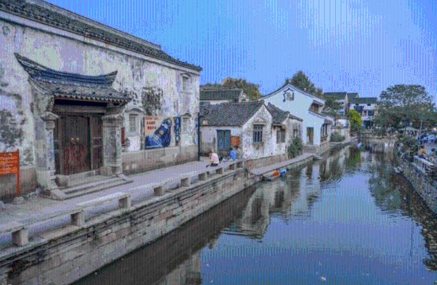 寻找奈良树花